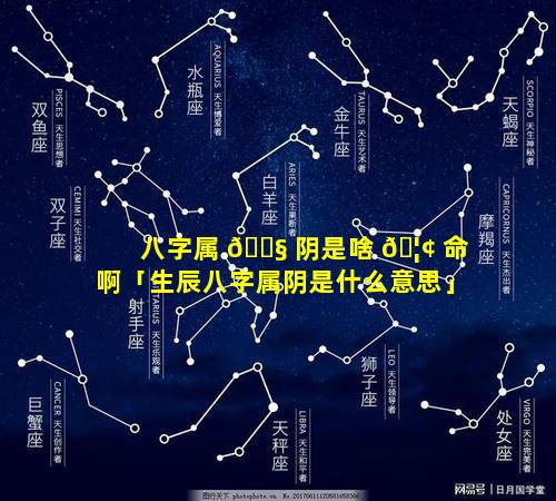 八字属 🐧 阴是啥 🦢 命啊「生辰八字属阴是什么意思」